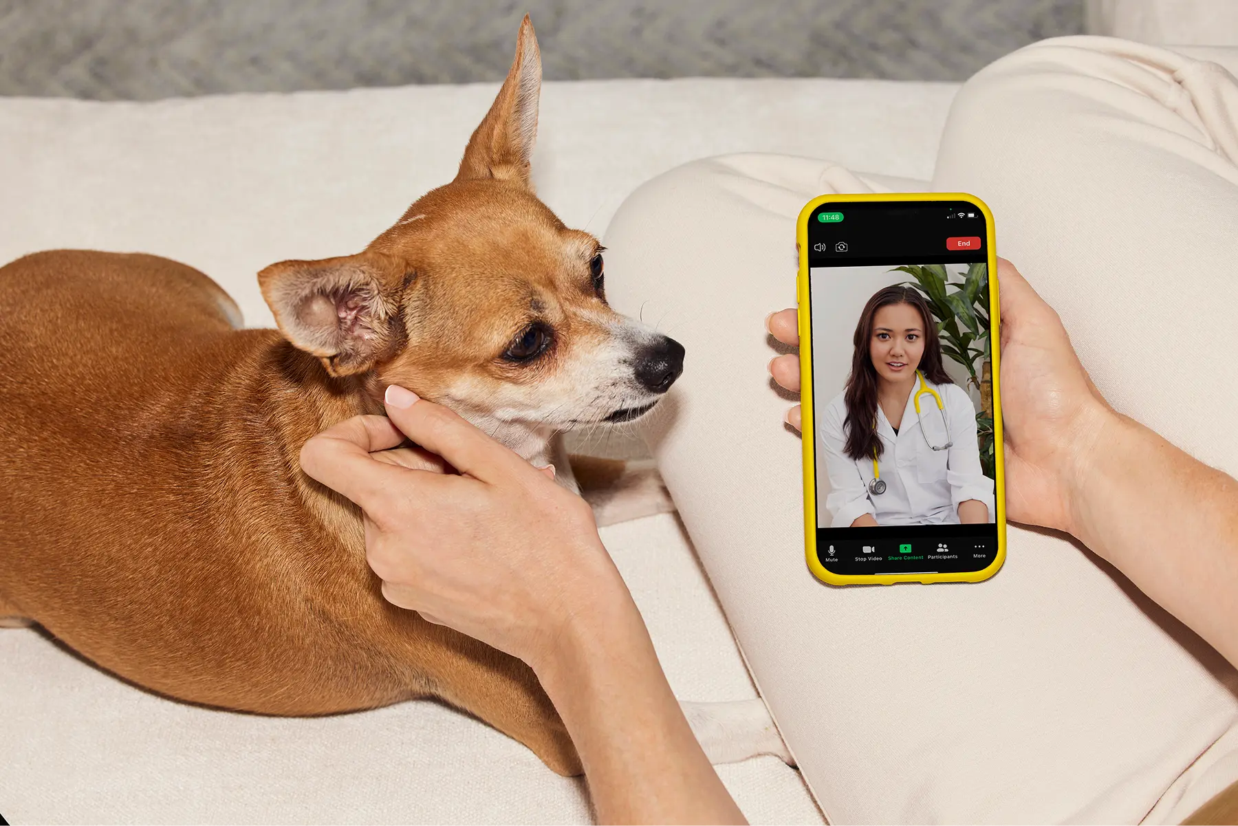 Expert Vet Care, Right Here